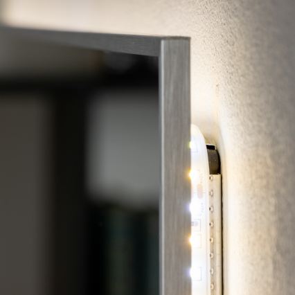 Brilagi - LED kopalniško ogledalo DESIO LED/30W/230V 60x90 cm srebrno IP44 CRI 90 zatemnljivo + CCT