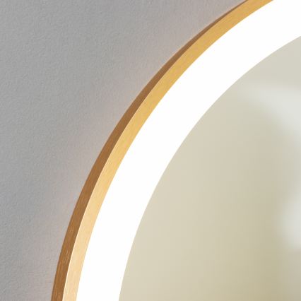 Brilagi - LED kopalniško ogledalo ERBA LED/25W/230V 50x80 cm zlato IP44 CRI 90 zatemnljivo + CCT (nastavljiva barvna temperatura)