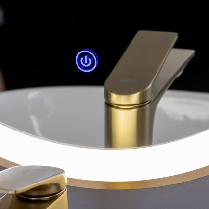 Brilagi - LED kopalniško ogledalo ERBA LED/25W/230V 50x80 cm zlato IP44 CRI 90 zatemnljivo + CCT (nastavljiva barvna temperatura)