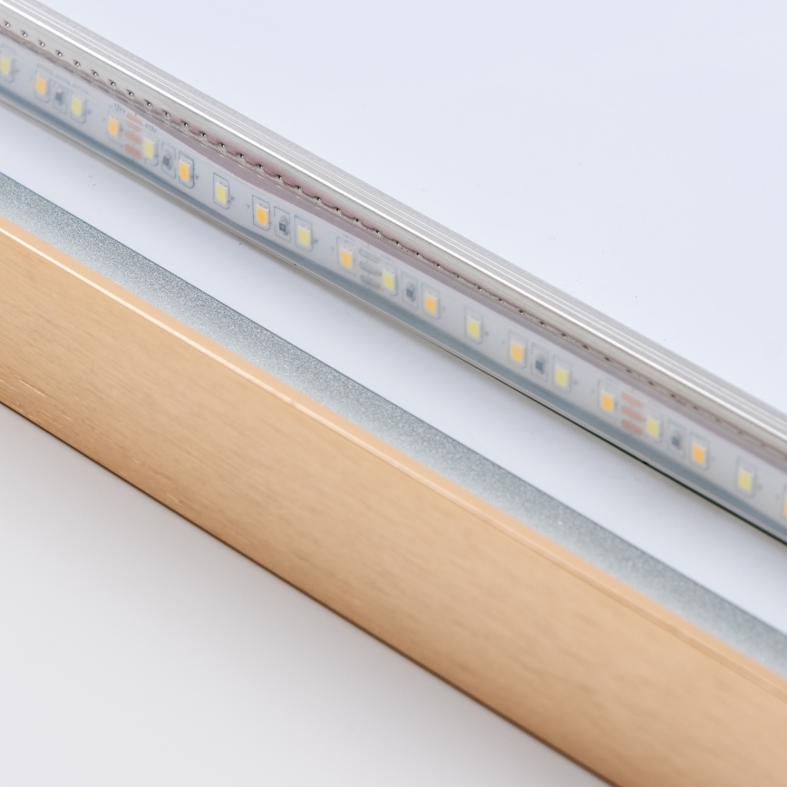 Brilagi - LED kopalniško ogledalo ERBA LED/25W/230V 50x80 cm zlato IP44 CRI 90 zatemnljivo + CCT (nastavljiva barvna temperatura)