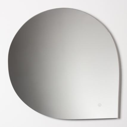 Brilagi - LED kopalniško ogledalo RICADI LED/19W/230V 60x60 cm IP44 CRI 90 zatemnljivo + CCT