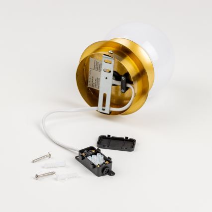 Brilagi - LED kopalniško stensko svetilo BALL LED/6W/230V 3000/4000/6500K IP44 zlata