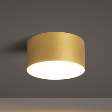 BRILAGI - LED kopalniško stropno svetilo FORIS LED/14W/230V Ø 12 cm zlato IP44
