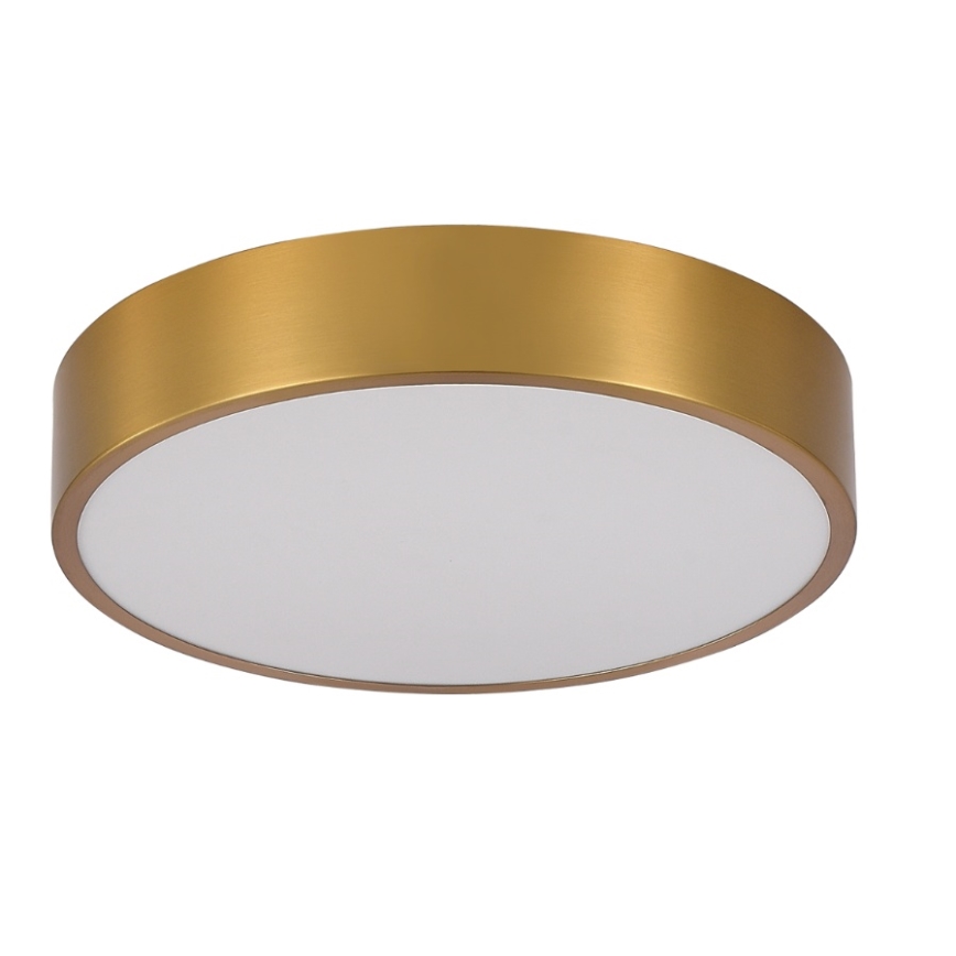 Brilagi - LED kopalniška stropna svetilka POOL LED/24W/230V 3000/4000/5500K Ø 30 cm IP54 bronasta