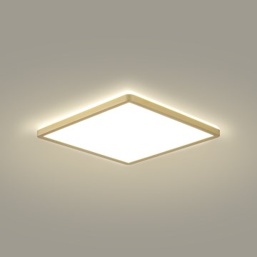 Brilagi - LED kopalniško svetilo ULTRA SLIM LED/24W/230V 42x42 cm zlato IP54