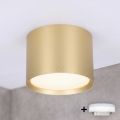 BRILAGI - LED kopalniško točkovno svetilo SMOOTH 1xGX53/15W/230V 60x82 mm zlate barve IP54