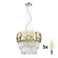 BRILAGI - LED Kristalni lestenec na vrvici MIRAGE 5xE14/40W/230V