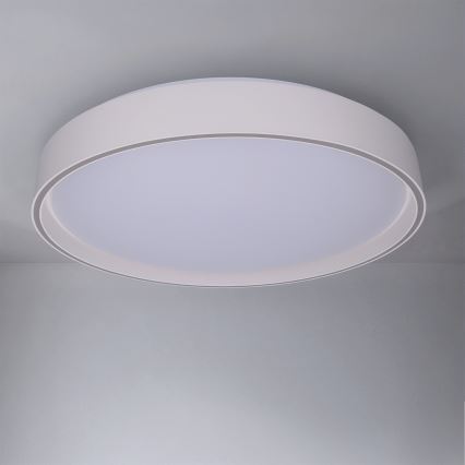 Brilagi - Zatemnljivo stropno svetilo NANCI LED/60W/230V 3000-6500K, premer 49 cm, bela + z daljinskim upravljalnikom