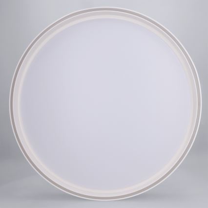 Brilagi - Zatemnljivo stropno svetilo NANCI LED/60W/230V 3000-6500K, premer 49 cm, bela + z daljinskim upravljalnikom