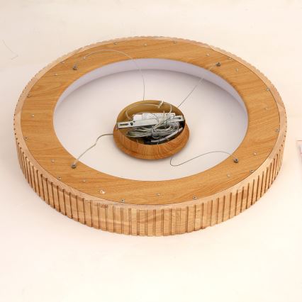 Brilagi - LED lestenec na kablu FALCON WOOD MODERN LED/40W/230V 3000/4000/6000K, premer 60 cm, iz lesa