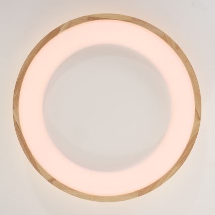 Brilagi - LED stropna svetilka FALCON WOOD LED/40W/230V 3000/4000/6000K premer 60 cm lesena