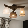 Brilagi - LED  Lestenec ANTHONY 3xE14/40W/230V hrast oreh