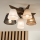 Brilagi - LED  Lestenec ANTHONY 5xE14/40W/230V hrast oreh