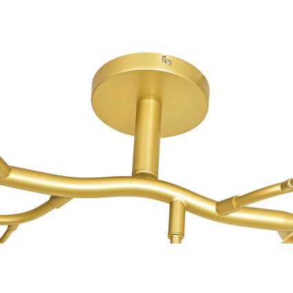 Brilagi - LED Lestenec MISTEL 15xG9/3W/230V zlata