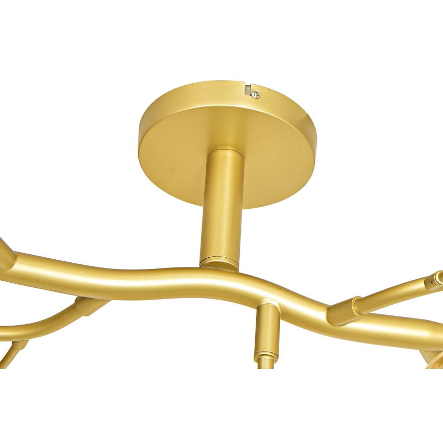 Brilagi - LED Lestenec MISTEL 15xG9/3W/230V zlata