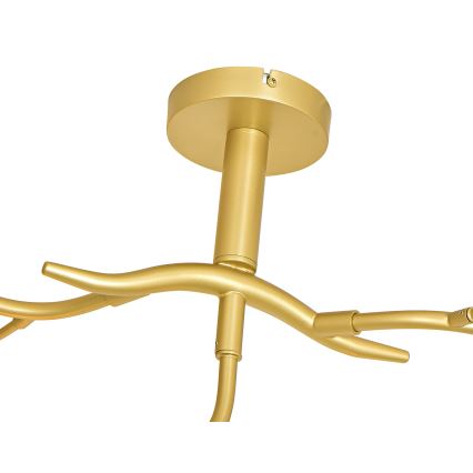 Brilagi - LED Lestenec MISTEL 9xG9/3W/230V zlata