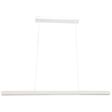 Brilagi - LED lestenec na jekleni vrvici AXIS LED/30W/230V bela