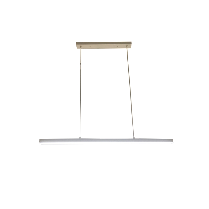 Brilagi - LED lestenec na jekleni vrvici AXIS LED/30W/230V bela
