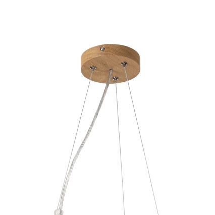 Brilagi - LED lestenec na jekleni vrvici CARVALHO MODERN 3xE27/60W/230V hrast, premer 47,5 cm