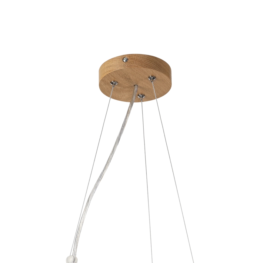 Brilagi - LED lestenec na jekleni vrvici CARVALHO MODERN 3xE27/60W/230V hrast, premer 47,5 cm