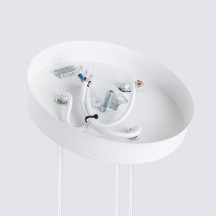 Brilagi - LED lestenec na kablu CRESTO 3xGU10/10W/230V bela