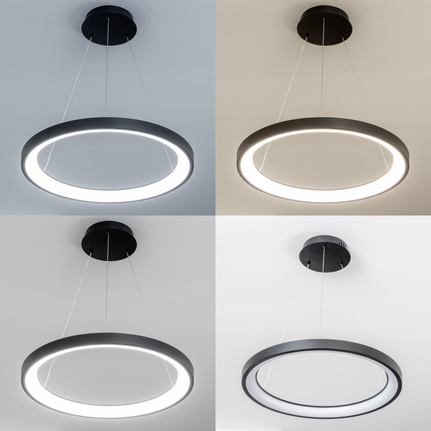 Brilagi - LED zatemnjiva viseča svetilka na kablu FALCON SLIM LED/42W/230V 3000-6500K premer 50 cm črna + daljinski upravljalnik