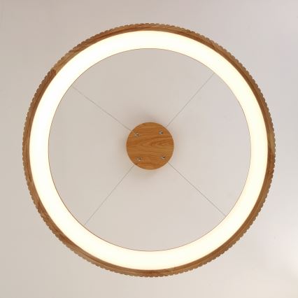 Brilagi - LED lestenec na kablu FALCON WOOD MODERN LED/60W/230V 3000/4000/6000K pr. 80 cm les