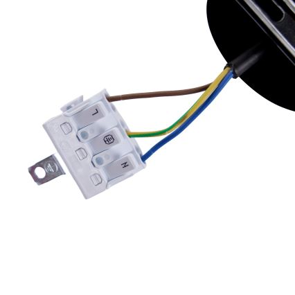 BRILAGI - LED Lestenec na kablu GARDALINE LED/100W/230V hrast