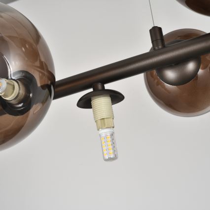 Brilagi - LED lestenec na kablu MILLA 10xG9/3W/230V rjava/dimna rjava