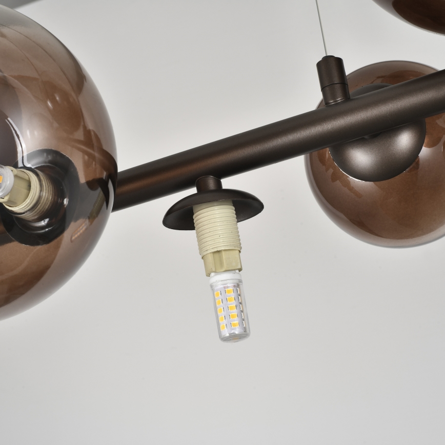 Brilagi - LED lestenec na kablu MILLA 10xG9/3W/230V rjava/dimna rjava