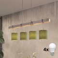 Brilagi - LED lestenec na kablu NUBILA 4xE27/60W/230V siva/zelena