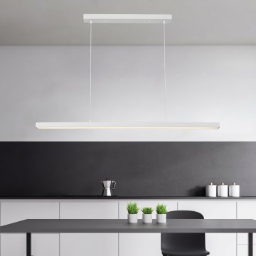 Brilagi - LED lestenec na kablu PAXIS LED/30W/230V 120 cm bela