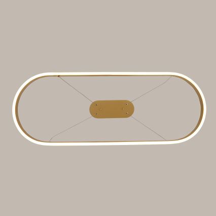 Brilagi - LED lestenec na kablu PONDIE LED/44W/230V 80x30 cm v zlati barvi