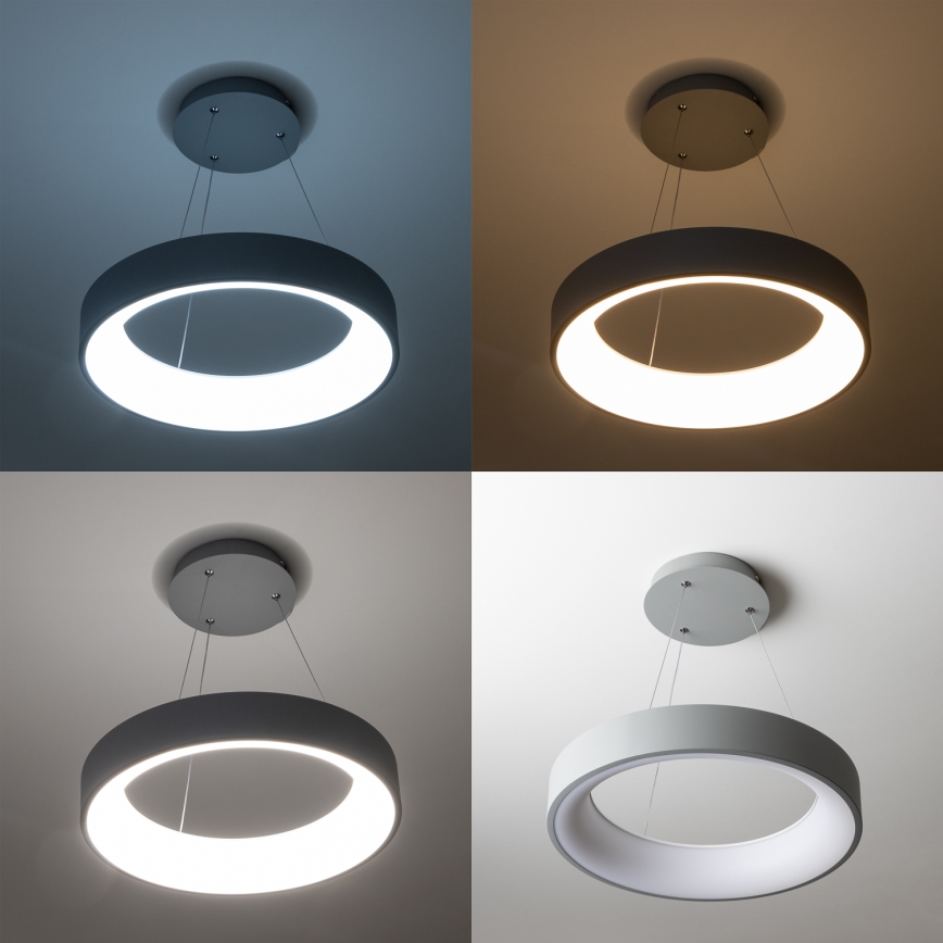 Brilagi - LED zatemljiv lestenec na jekleni vrvici FALCON LED/80W/230V 3000-6500K premer 60 cm, v sivi barvi + daljinski upravljalnik