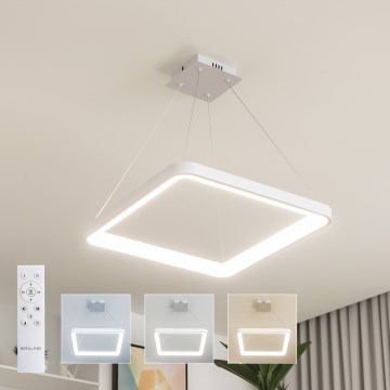 Brilagi - LED lestenec na kablu z možnostjo zatemnitve FALCON SLIM LED/50W/230V 3000-6500K 50x50 cm bela + daljinski upravljalnik