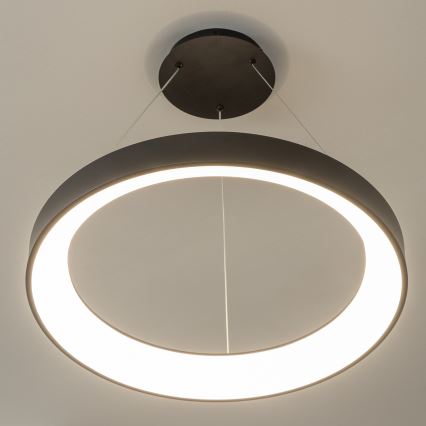 Brilagi - Zatemnjevalni LED lestenec na kablu FALCON II LED/99W/230V 3000-6500K premer 60 cm črna + daljinski upravljalnik