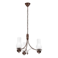 Brilagi - LED Lestenec na verigi COTTAGE 3xE14/40W/230V hrast/bela