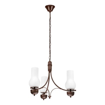 Brilagi - LED Lestenec na verigi COTTAGE 3xE14/40W/230V hrast/bela