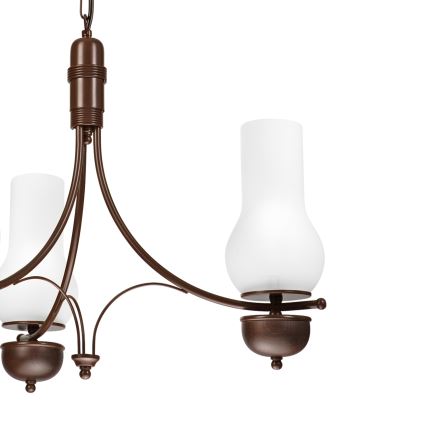 Brilagi - LED Lestenec na verigi COTTAGE 3xE14/40W/230V hrast/bela