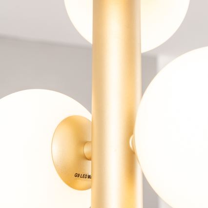 Brilagi - LED Lestenec na vrvici MILLA 6xG9/3W/230V zlata/bela