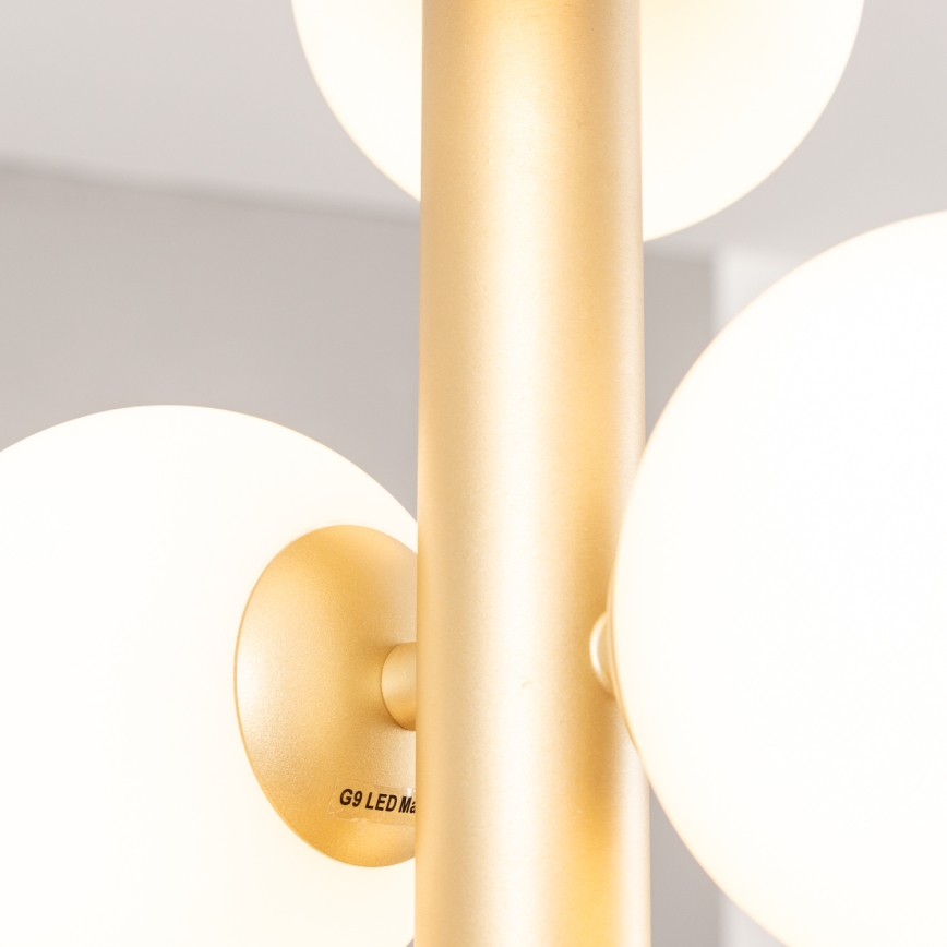 Brilagi - LED Lestenec na vrvici MILLA 6xG9/3W/230V zlata/bela