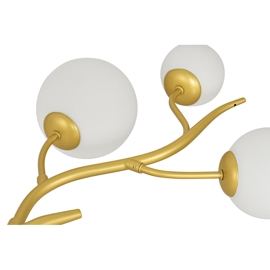 Brilagi - LED Lestenec na vrvici MISTEL 6xG9/3W/230V zlata/bela