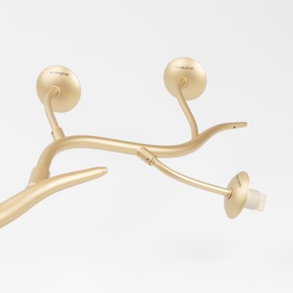 Brilagi - LED Lestenec na vrvici MISTEL 6xG9/3W/230V zlata