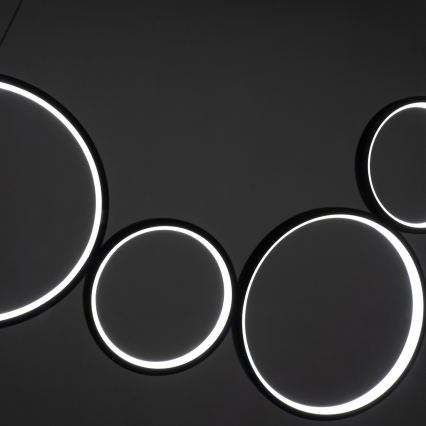 Brilagi - LED lestenec na žici ECHO LED/60W/230V 4000K 100 cm črna