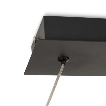 Brilagi - LED lestenec na žici ECHO LED/60W/230V 4000K 100 cm črna