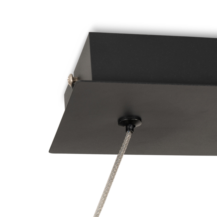 Brilagi - LED lestenec na žici ECHO LED/60W/230V 4000K 100 cm črna