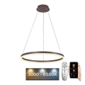 BRILAGI - LED lestenec z možnostjo zatemnitve na kablu CIRCLE LED/42W/230V 3000-6500K, premer 60 cm, rjava + daljinski upravljalnik