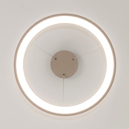 BRILAGI - LED zatemljiv lestenec na kablu FALCON SLIM LED/42W/230V 3000-6500K premer 50 cm bež + daljinski upravljalnik