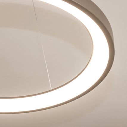 BRILAGI - LED zatemljiv lestenec na kablu FALCON SLIM LED/42W/230V 3000-6500K premer 50 cm bež + daljinski upravljalnik