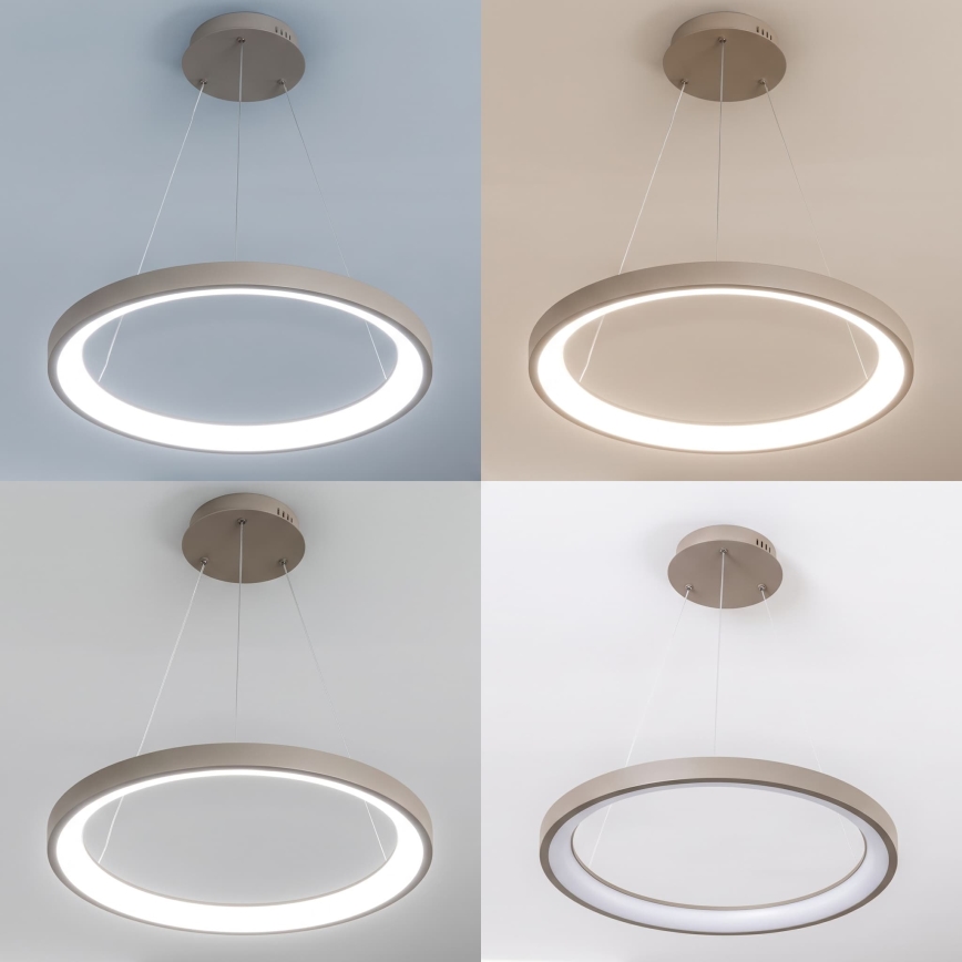 BRILAGI - LED zatemljiv lestenec na kablu FALCON SLIM LED/42W/230V 3000-6500K premer 50 cm bež + daljinski upravljalnik